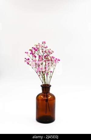 Dry flowers in an old pharmacy jar, now used as a vase on a white background. High quality photo Stock Photo