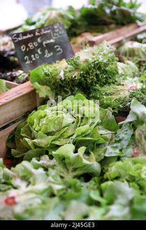 Villeneuve-sur-Lot (south-western France): lettuces on a market stall Stock Photo