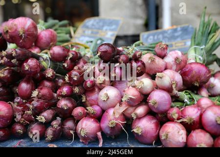 Villeneuve-sur-Lot (south-western France): onions on a market stall Stock Photo