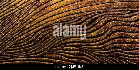 Abstract background gold color wall luxury. High quality photo Stock Photo