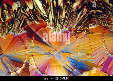 Microscopy.  Sugar crystals photographed in polarized light. Stock Photo