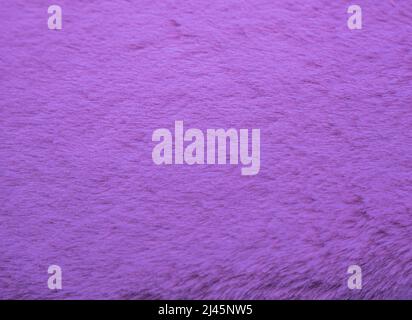Purple faux fur for texture or background Stock Photo