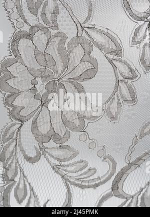 Vertical seamless lace on a white background. Stock Photo