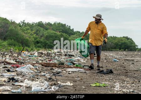 Man picks up plastic garbage on beach in the morning, Panama, Central America. Stock Photo