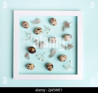 White square frame and quail eggs, feathers, white gypsophila flowers inside it on light blue background. Easter image. Easter poster idea. View from Stock Photo