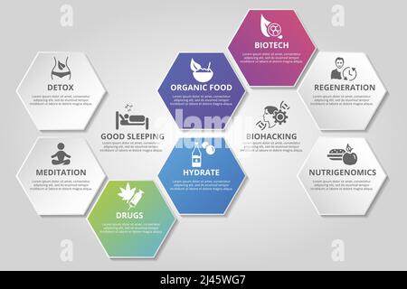 Infographic Biohacking template. Icons in different colors. Include Detox, Meditation, Drugs, Hydrate and others. Stock Vector