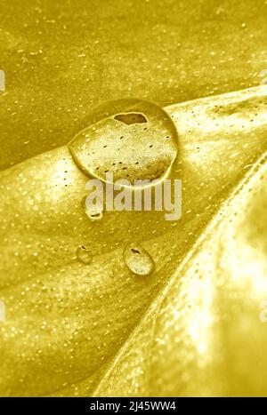 Pop Art Surreal Style Golden Chocolate Bar for Abstract Backdrop Stock ...