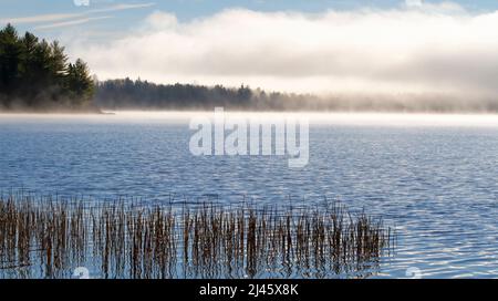 Foggy morning on Lake of Two Rivers in Algonquin Park, Canada Stock Photo