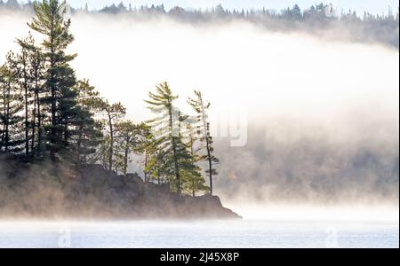 Foggy morning on Lake of Two Rivers in Algonquin Park, Canada Stock Photo