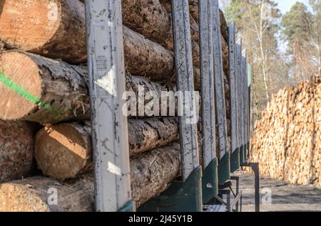 Stack of felled trees on a trailer ready for transportation Stock Photo