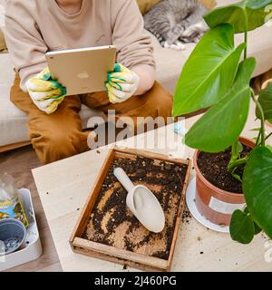 Woman gardener holds an Apple iPad tablet in her hands for online learning on plants. Blogger shoots videos and photos of home gardening for an online Stock Photo