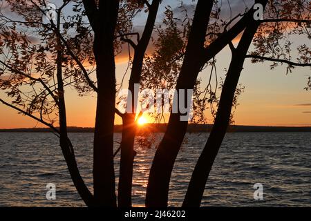 Autumn sunset over the lake. The sun is visible from behind the branches of the tree. Stock Photo