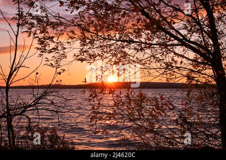 Autumn sunset over the lake. The sun is visible from behind the branches of the tree. Stock Photo