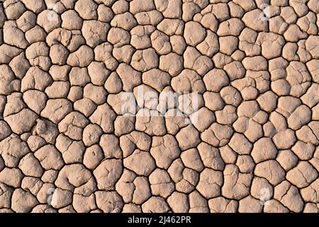 Dry cracked lake bed background in the desert Stock Photo