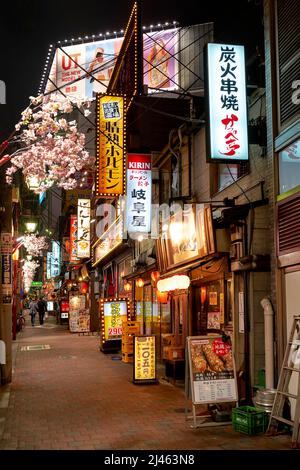 Japan. Tokyo. Restaurants in Shinjuku district at night Stock Photo