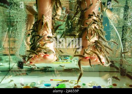 Fish Spa pedicure Rufa Garra treatment. Legs and fish in blue water. Woman legs. Selective focus Stock Photo