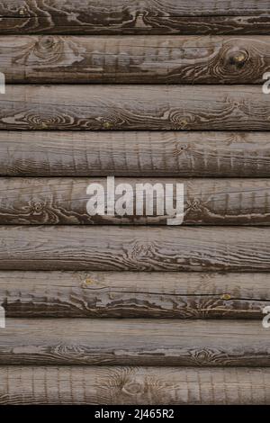 Background is log wall old rural house.Wooden texture logs with knots Stock Photo