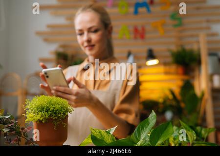 Selective focus of bluured female florist typing message to client and chatting with customer on mobile phone, looking at smartphone screen. Stock Photo