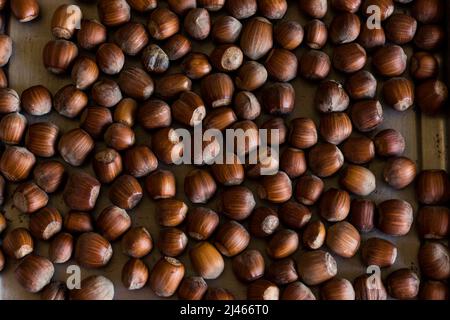 Photo of hazelnuts on a tray on table. Hazelnut nut health organic brown. Top view Stock Photo