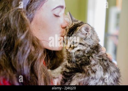 Brunette Teen Kisses a Cute Fluffy Kitten Stock Photo