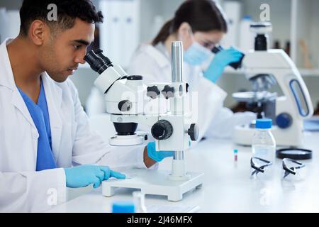 What will we discover today. Shot of two scientists using microscopes in a lab. Stock Photo