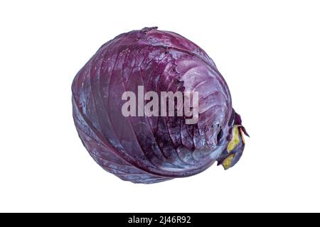 Purple or red cabbage isolated on white background. Closeup photo of whole cabbage. Stock Photo