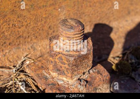 Old rusty industrial screw. Closeup photo of rusty screw. Stock Photo