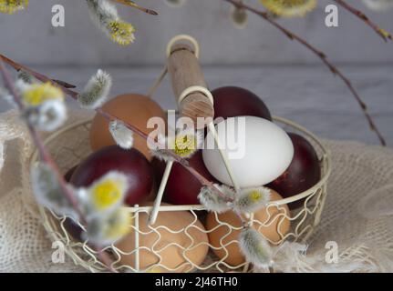 Easter colored eggs and natural eggs lie in a small basket decorated with willow branches. Stock Photo