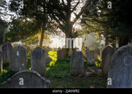 Southampton Old Cemetery on Southampton Common dates back to 1847 Stock Photo