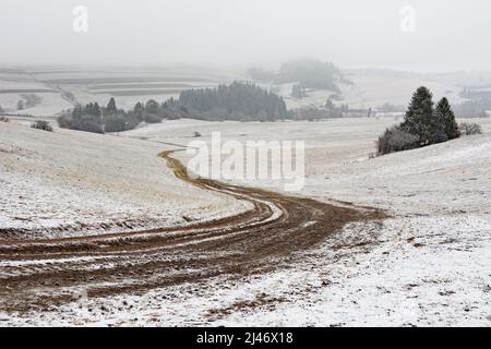 Winding dirt road between fields and trees on a misty winter day Stock Photo