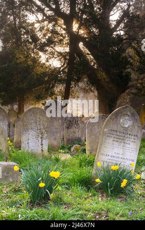 Southampton Old Cemetery on Southampton Common dates back to 1847 Stock Photo