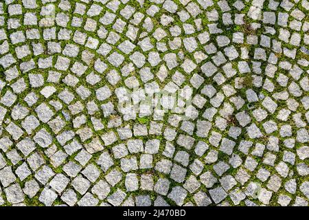green grass grows through the gaps in the pavement granite stones Stock Photo