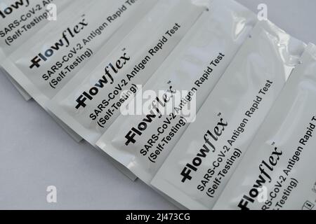 COVID-19 Self Test - Rapid Antigen Test - Stock Image Stock Photo