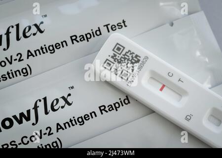 COVID-19 Self Test - Rapid Antigen Test (testing negative) - Stock Image Stock Photo
