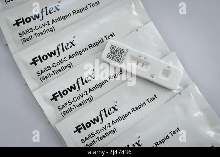 COVID-19 Self Test - Rapid Antigen Test (testing postive) - Stock Image Stock Photo