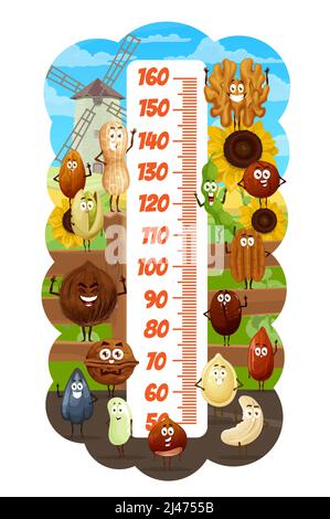 Kids height chart cartoon nuts and beans on farm vector growth meter. Peanut, almond and hazelnut, coconut, pistachio and cashew. Brazil, soybean and pecan, walnut, pumpkin, coffee and sunflower seeds Stock Vector