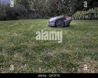 Lawn mower cutting green grass. Work alone in the garden - robot Stock Photo