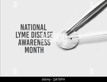 Concept for National Lyme Disease Awareness Month. Abstract medical laboratory. Research of ixodid ticks, which are carriers for Lyme disease spiroche Stock Photo