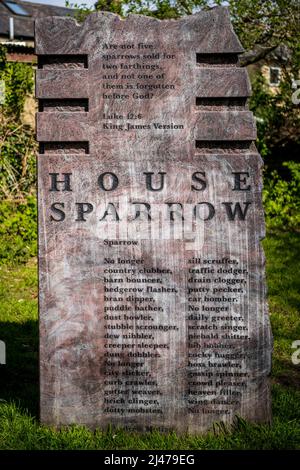 House Sparrow Sculpture with verse & song notes in Mill Road Cemetery Cambridge, one of a set of six bird sculptures. Sculptor Gordon Young 2014. Stock Photo