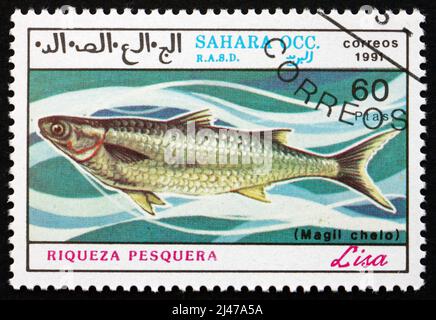 SAHARA - CIRCA 1991: a stamp printed in Sahrawi Arab Democratic Republic shows Grey Mullet, Liza, Marine Fish, circa 1991 Stock Photo
