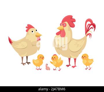 Hen and rooster with chickens on a white background. Cute chicken family with chickens in cartoon style on an isolated background. Stock Vector