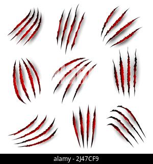 Claw marks with blood scratches of tiger beast or lion and bear, vector wild animal paw slashes. Panther wild cat or monster werewolf claw slashes with red bloody ripped marks and scratch shreds Stock Vector