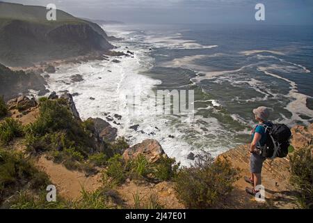 A lone female hiker looking down on to cliffs and coastline on part of the Otter Trail in the bWestern Cape of South Africa. Stock Photo