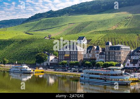 Bernkastel, Germany.  Vineyards on Steep Hillsides in early Morning. Stock Photo