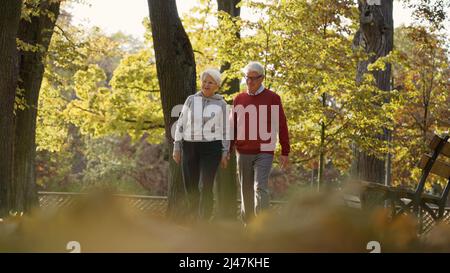 Happy senior Caucasian couple walking in the park smiling healthy lifestyle selective focus full shot copy space . High quality photo Stock Photo