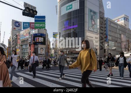 PUBLIC TOKYO 2点 パブリックトウキョウ PUBLIC TOKYO PUBLIC CHINOS バレル