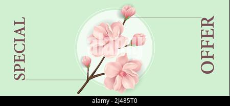Special offer vertical banner design with pink blooming twig and white circle on light green background. Typed text can be used for labels, flyers, si Stock Vector