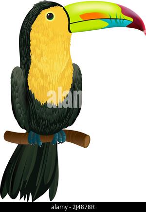 Toucan sitting on tree branch. Design element. For banners, posters, leaflets and brochures. Stock Vector