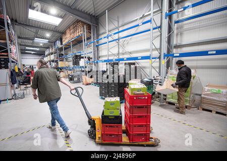 12 April 2022, Hessen, Frankfurt/Main: A driver collects boxes of food from the Tafel Frankfurt warehouse. The Tafel in Frankfurt is currently struggling with the fact that it is receiving fewer donations in the face of higher demand. Photo: Sebastian Gollnow/dpa Stock Photo