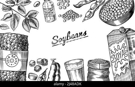 Soybean hand drawn illustration set Stock Vector by ©ananci.art@gmail.com  194750380